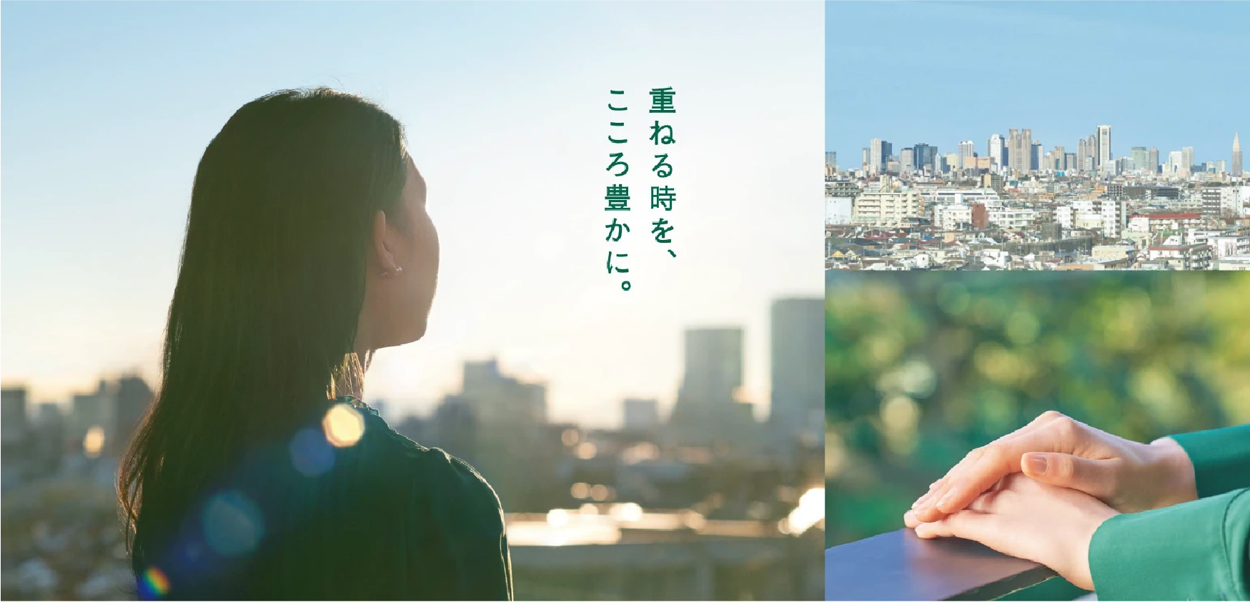 リーフィアイメージ