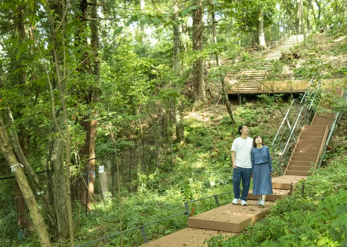 GOOD DESIGN AWARD 2022