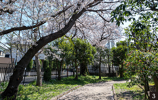 野川緑地公園