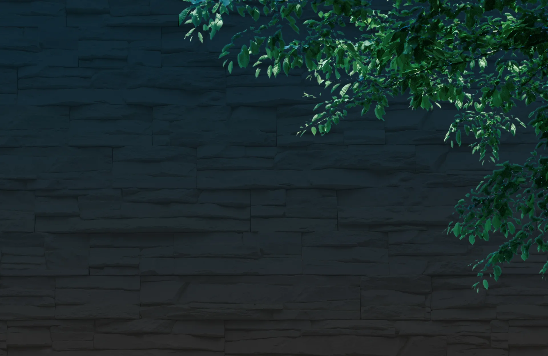 CONCEPT image