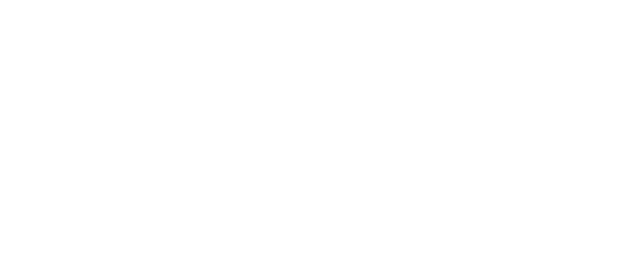 No.6