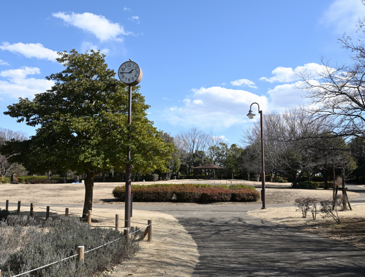 きたみふれあい広場