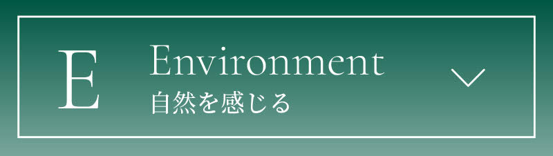 Environment