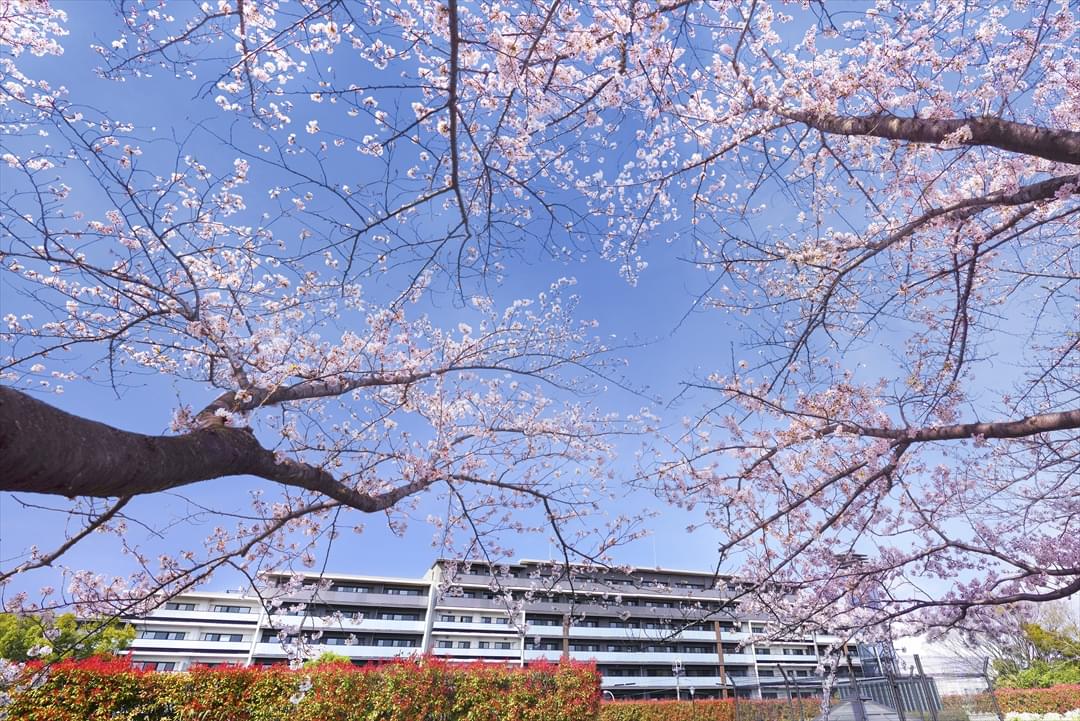 リーフィアレジデンス杉並 井草森公園の外観