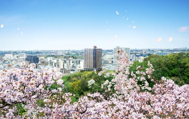 パークタワー向ヶ丘遊園