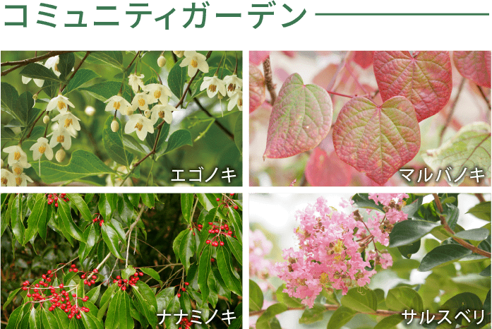 コミュニティガーデン