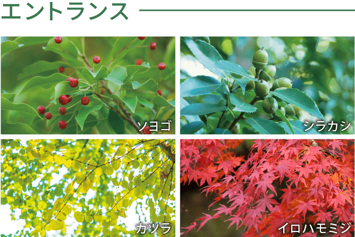 エントランス