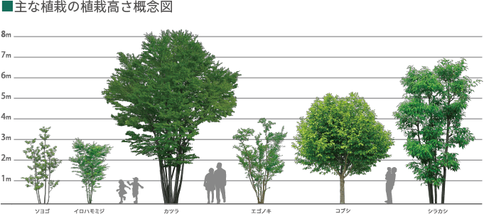 主な植栽の植栽高さ概念図