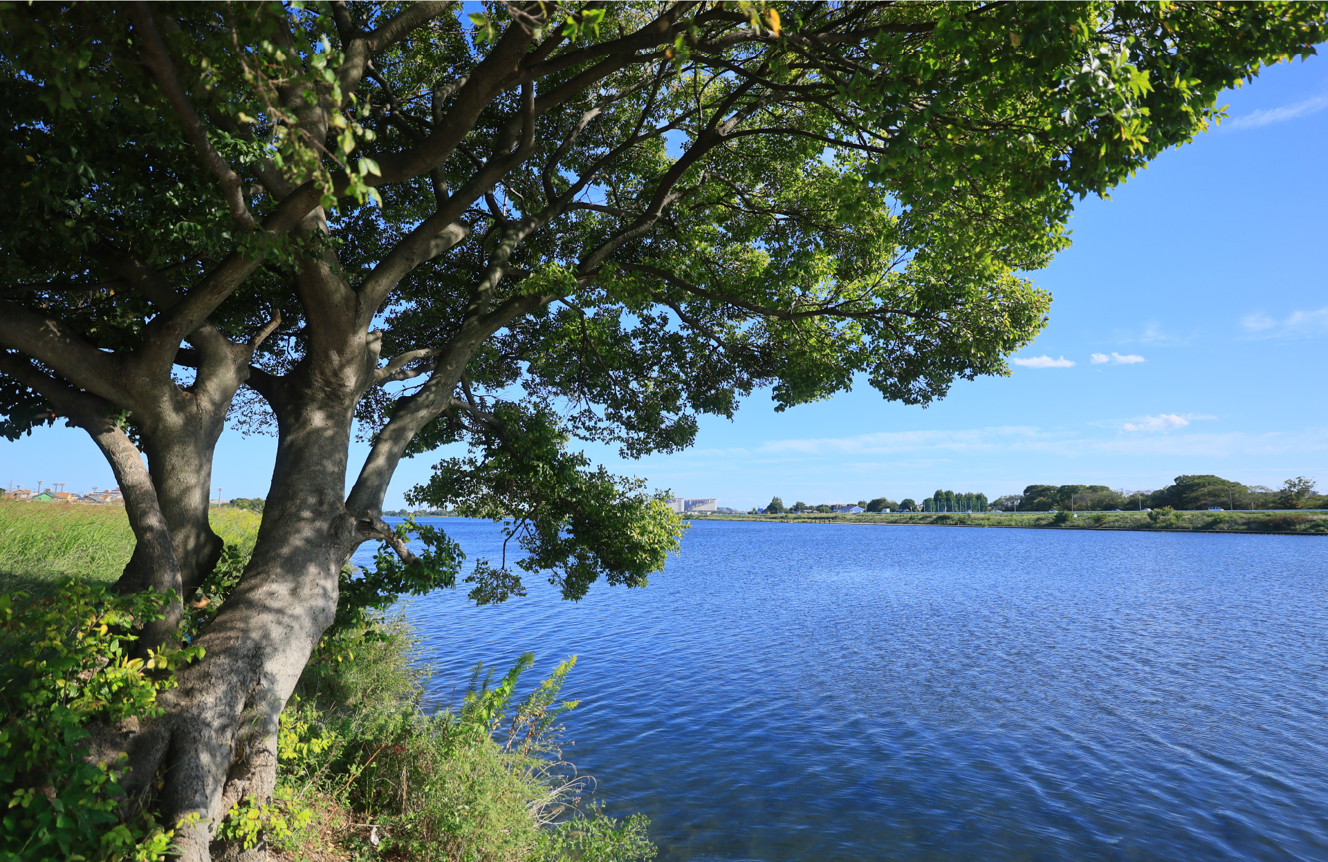 多摩川緑地公園（約1.8kｍ・徒歩23分）