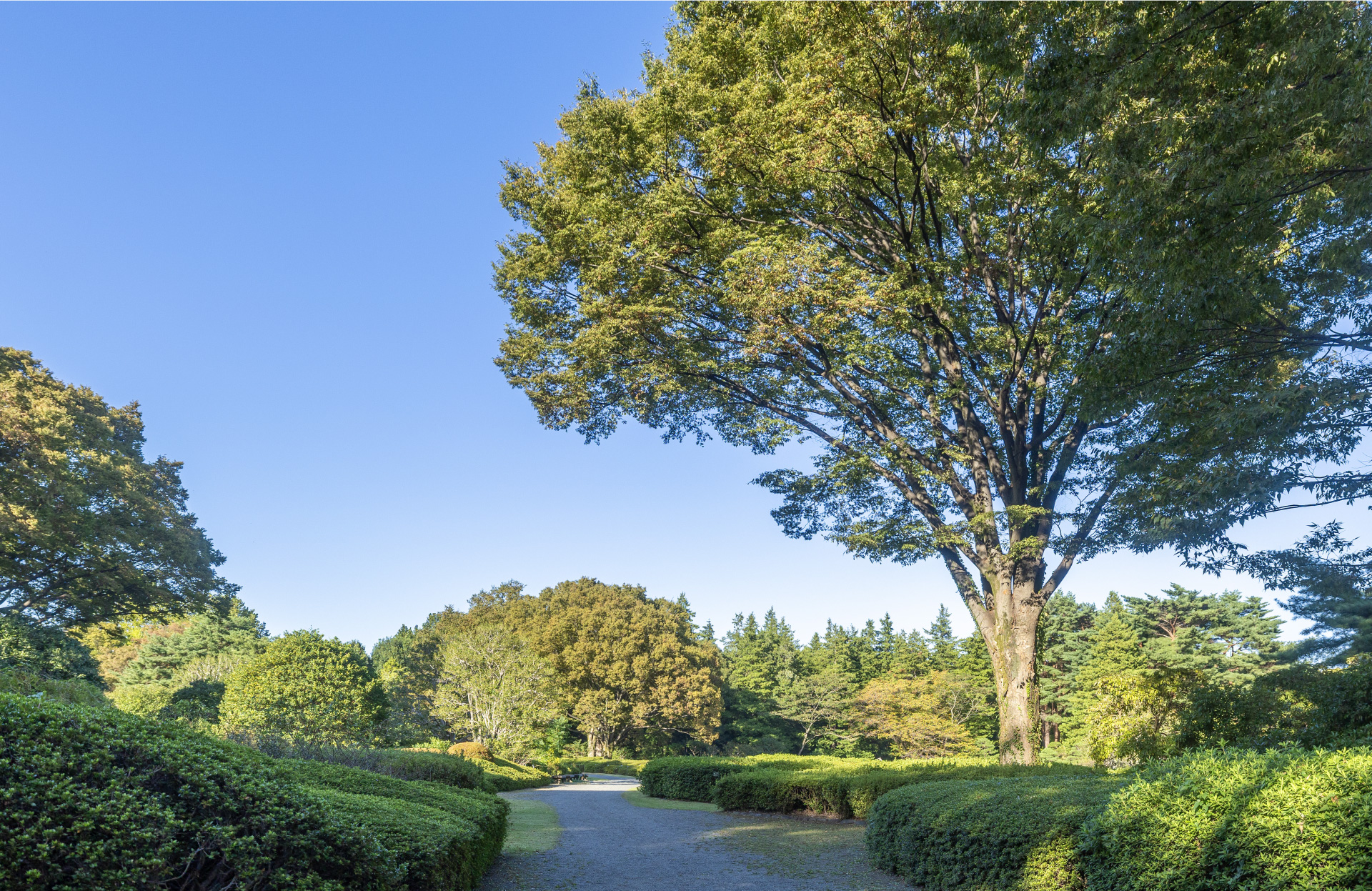 神代植物公園（約2.06kｍ・徒歩26分）