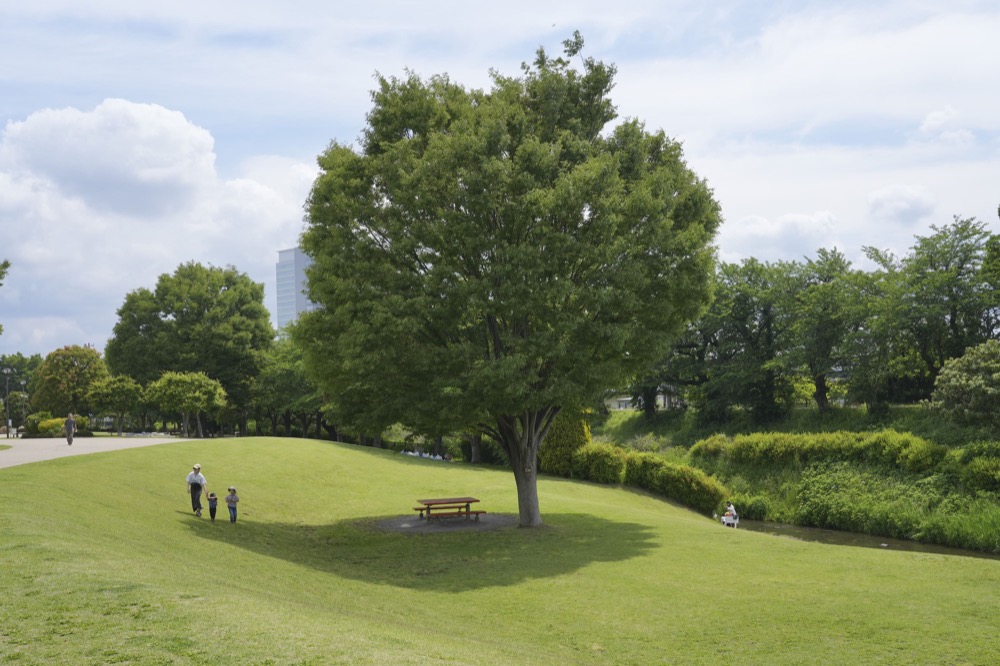 相模三川公園