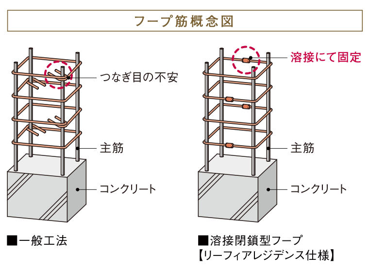 ループ筋概念図