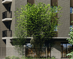 image photo