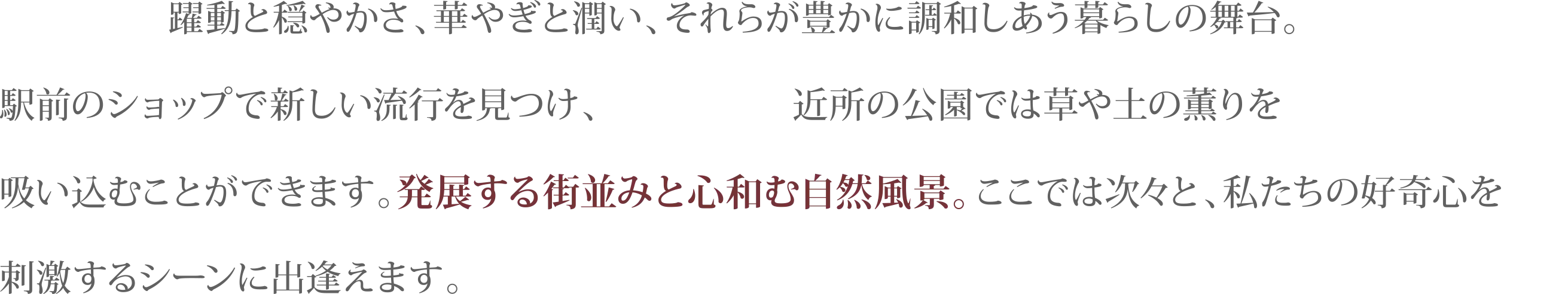 躍動から穏やかさ、華やぎから潤い、そのグラデーションがとても豊かな暮らしの舞台。