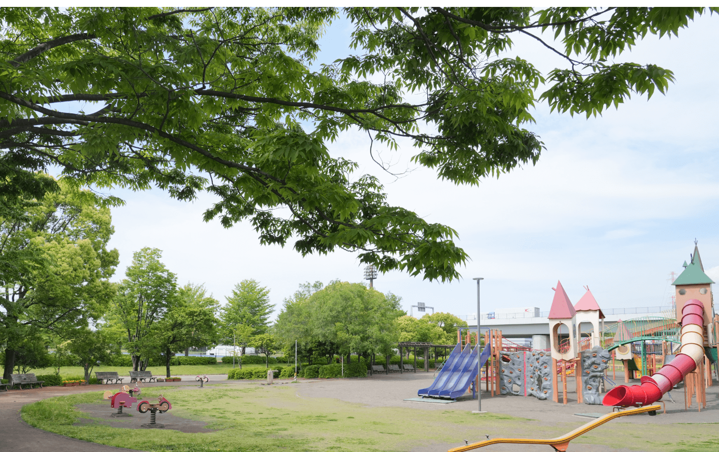 海老名運動公園