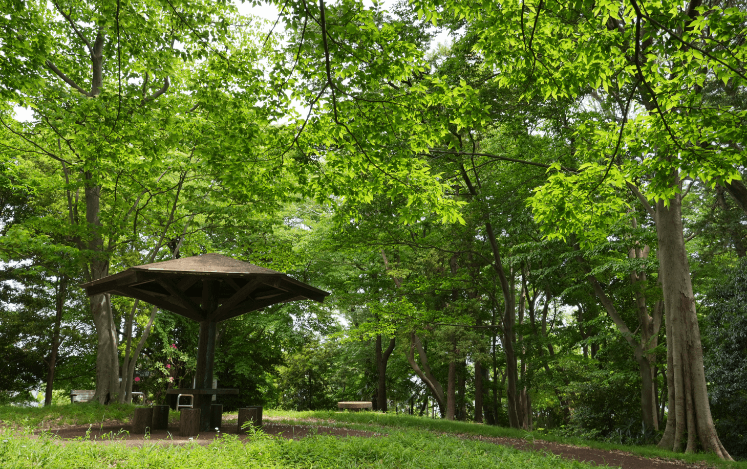 伊勢山自然公園