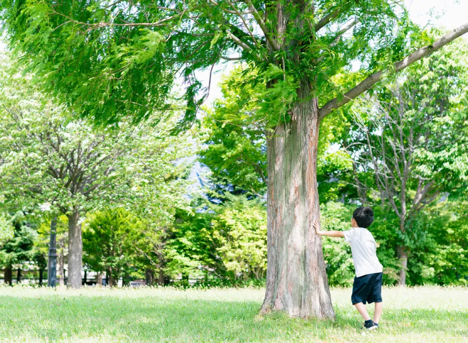 image photo