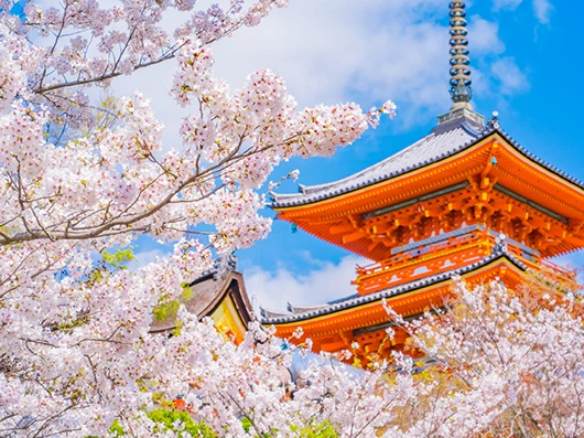 京都