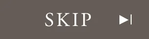 動画スキップボタン