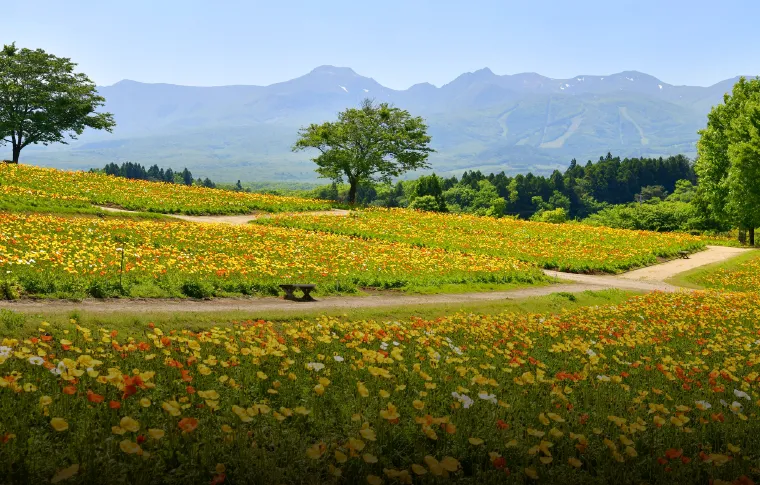NASUKOGEN