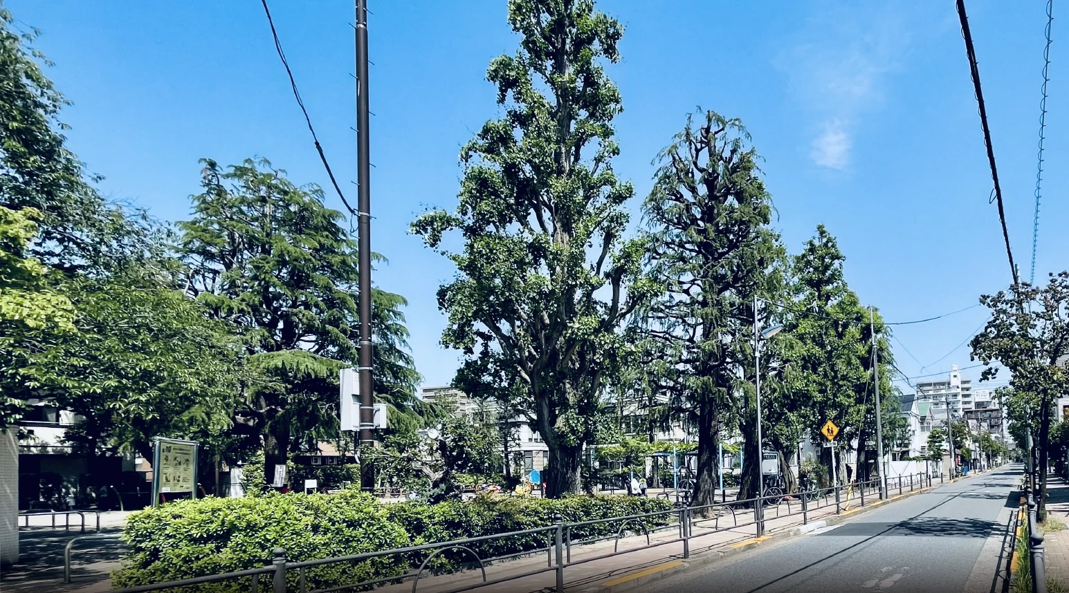 現地周辺の街並み（約580m/徒歩8分）