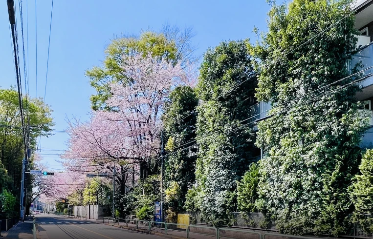 現地周辺の街並み（約710m/徒歩9分）