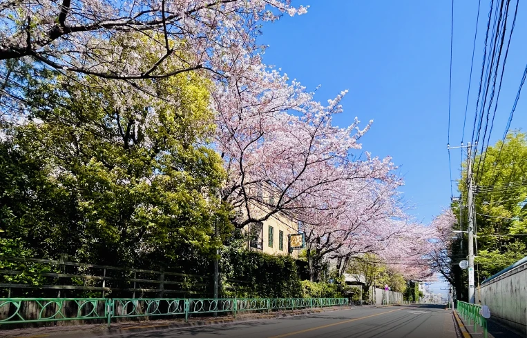 現地周辺の街並み（約770m/徒歩10分）