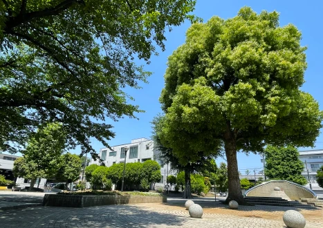 中村南公園