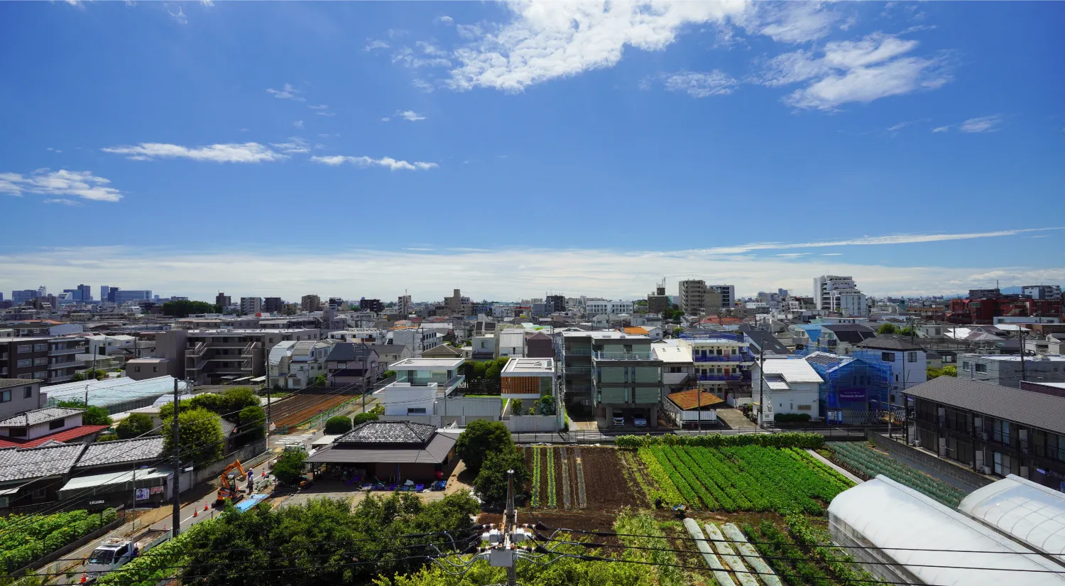 眺望写真（6F）