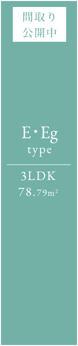 E・Eg type 3LDK 78.79㎡