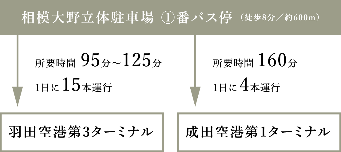 エアポートバス 経路