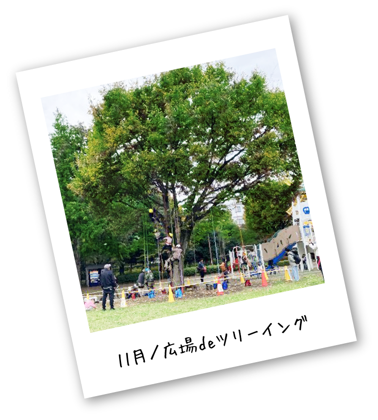 PARK EVENT