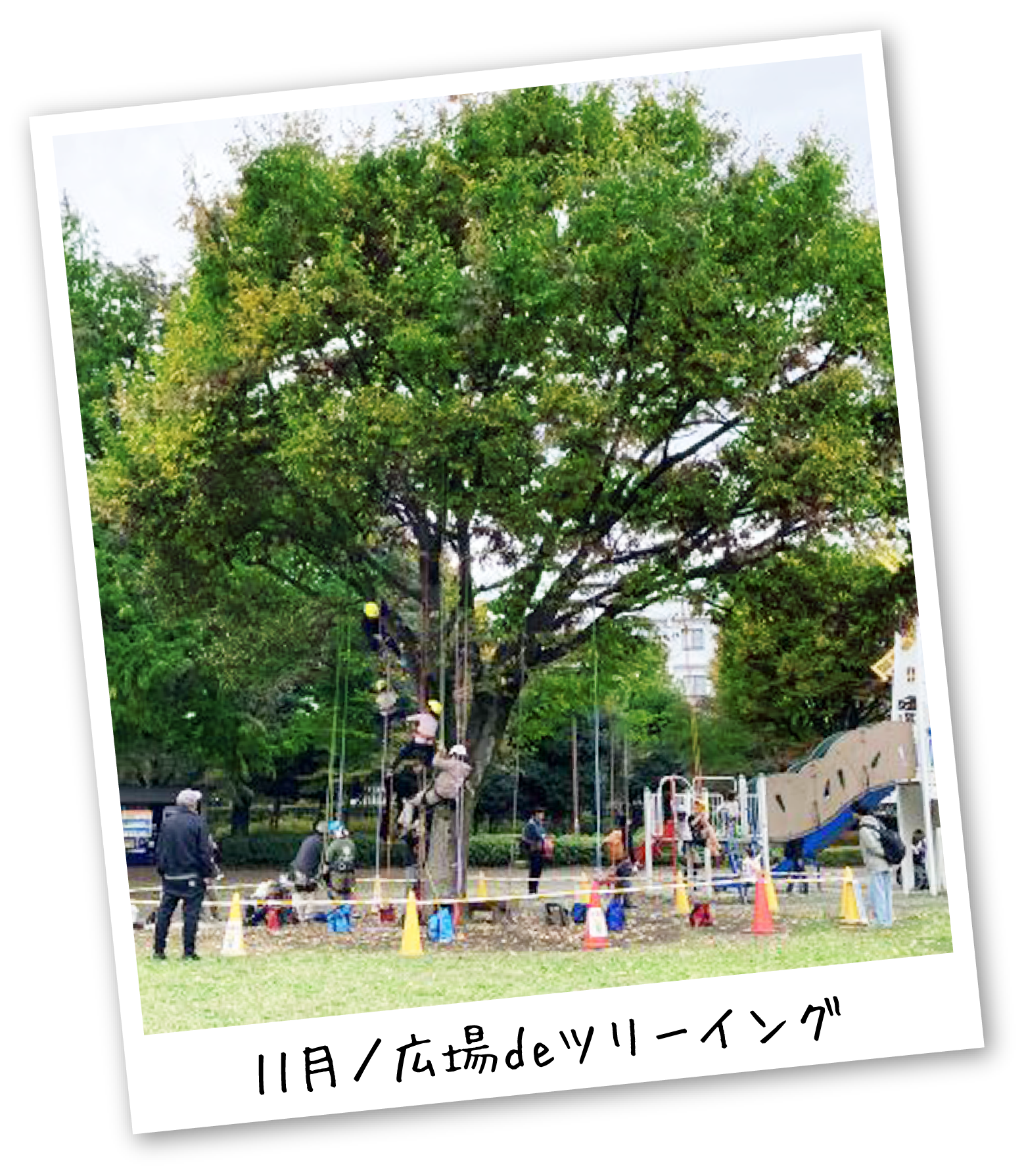 PARK EVENT