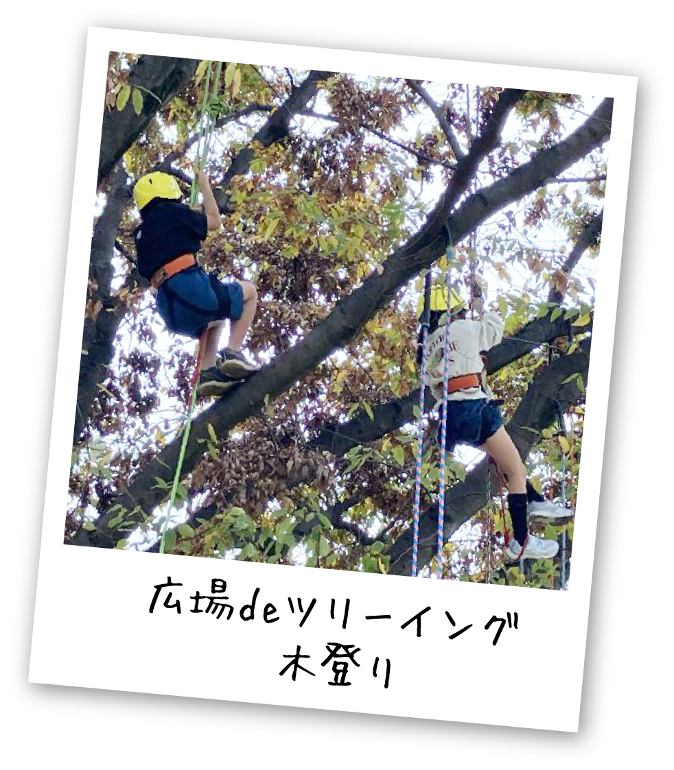 PARK EVENT