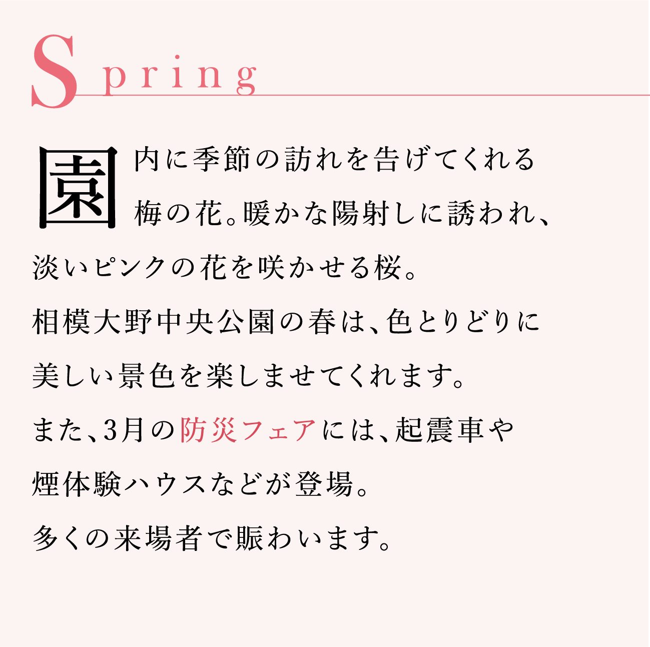 PARK EVENT