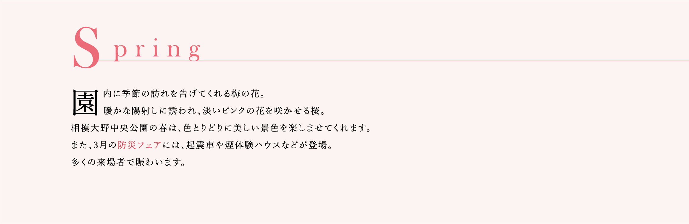 PARK EVENT