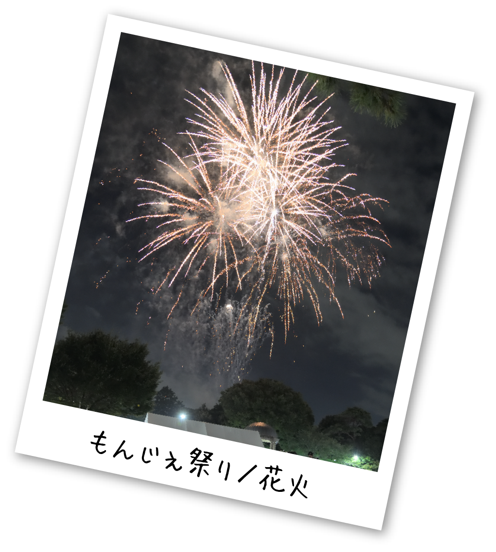 PARK EVENT