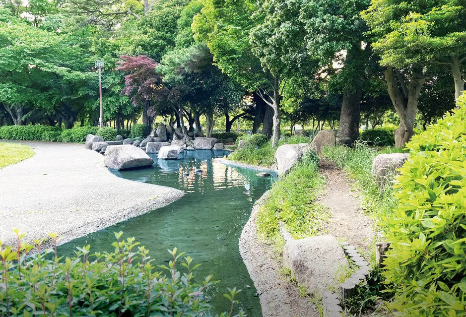 池から流れるせせらぎ