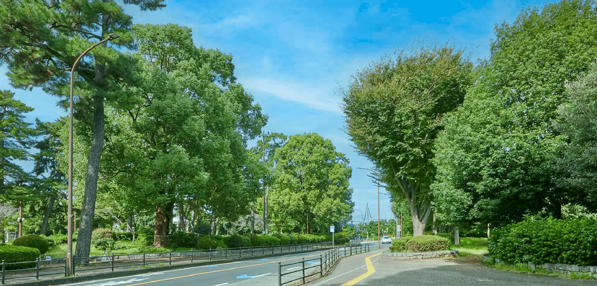 相模大野中央公園