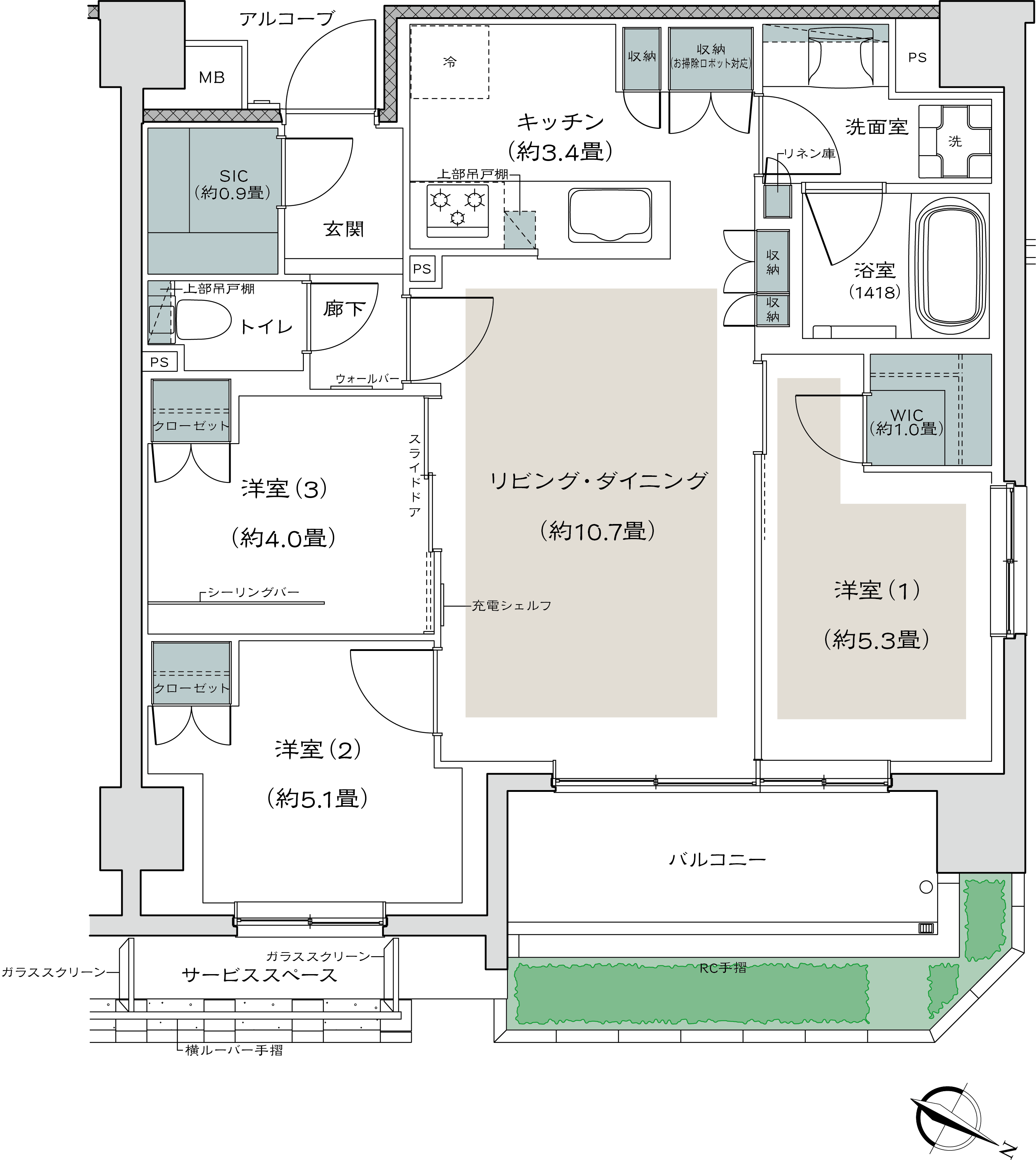 N type image