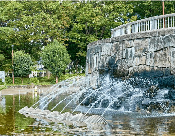 相模大野中央公園