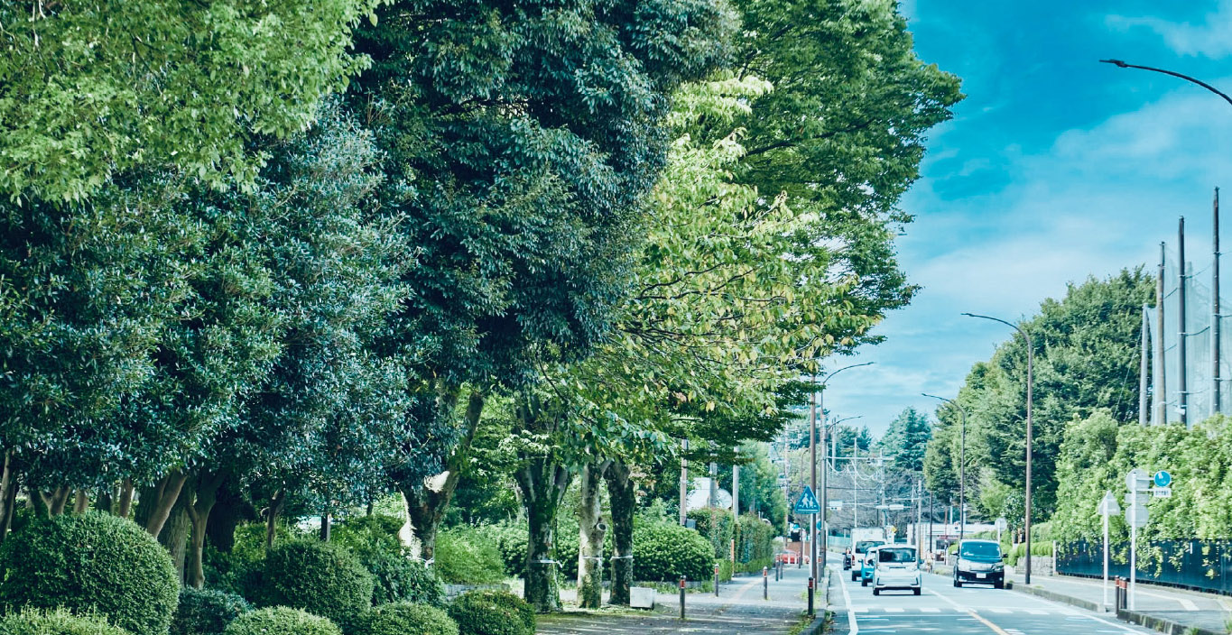 Intelligence image photo