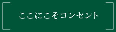 ここにこそコンセント