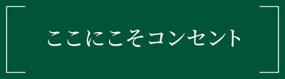 ここにこそコンセント