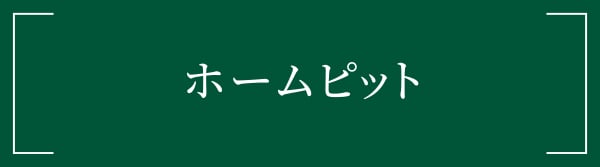 ホームピット